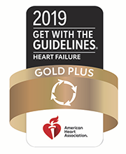 Gold Plus Logo
